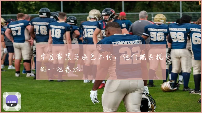 季后赛黑马成色几何，他们能否搅乱一池春水