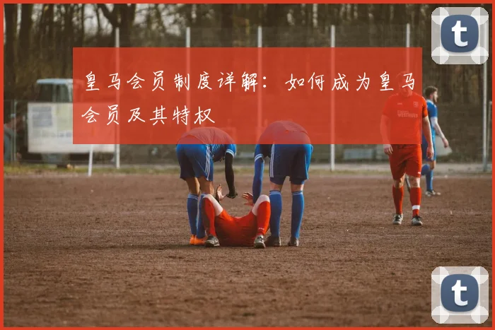皇马会员制度详解：如何成为皇马会员及其特权