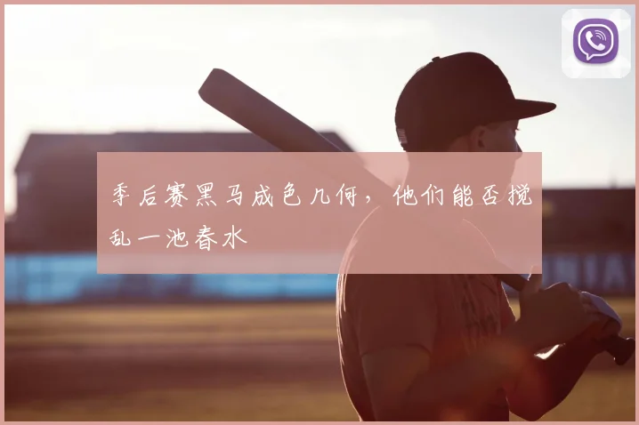 季后赛黑马成色几何，他们能否搅乱一池春水